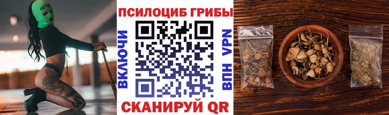 Купить закладки  Берёзовский  Галлюциногенные грибы прущие грибы 